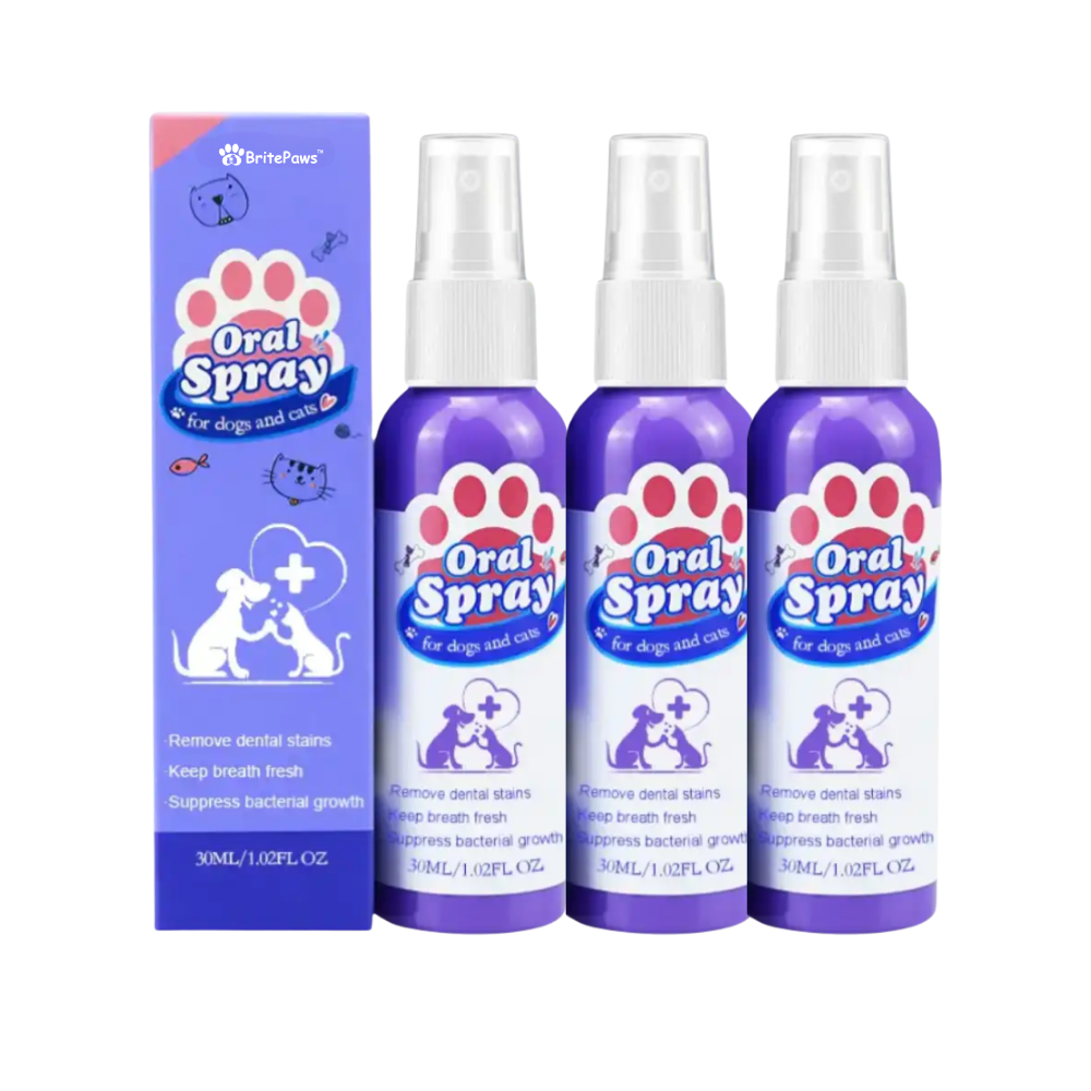 BritePaws™